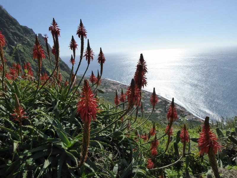 Madeira 2014 094